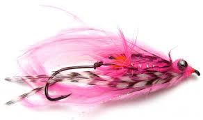 stell hedfly2 stell hedfly2