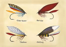 wetfly many